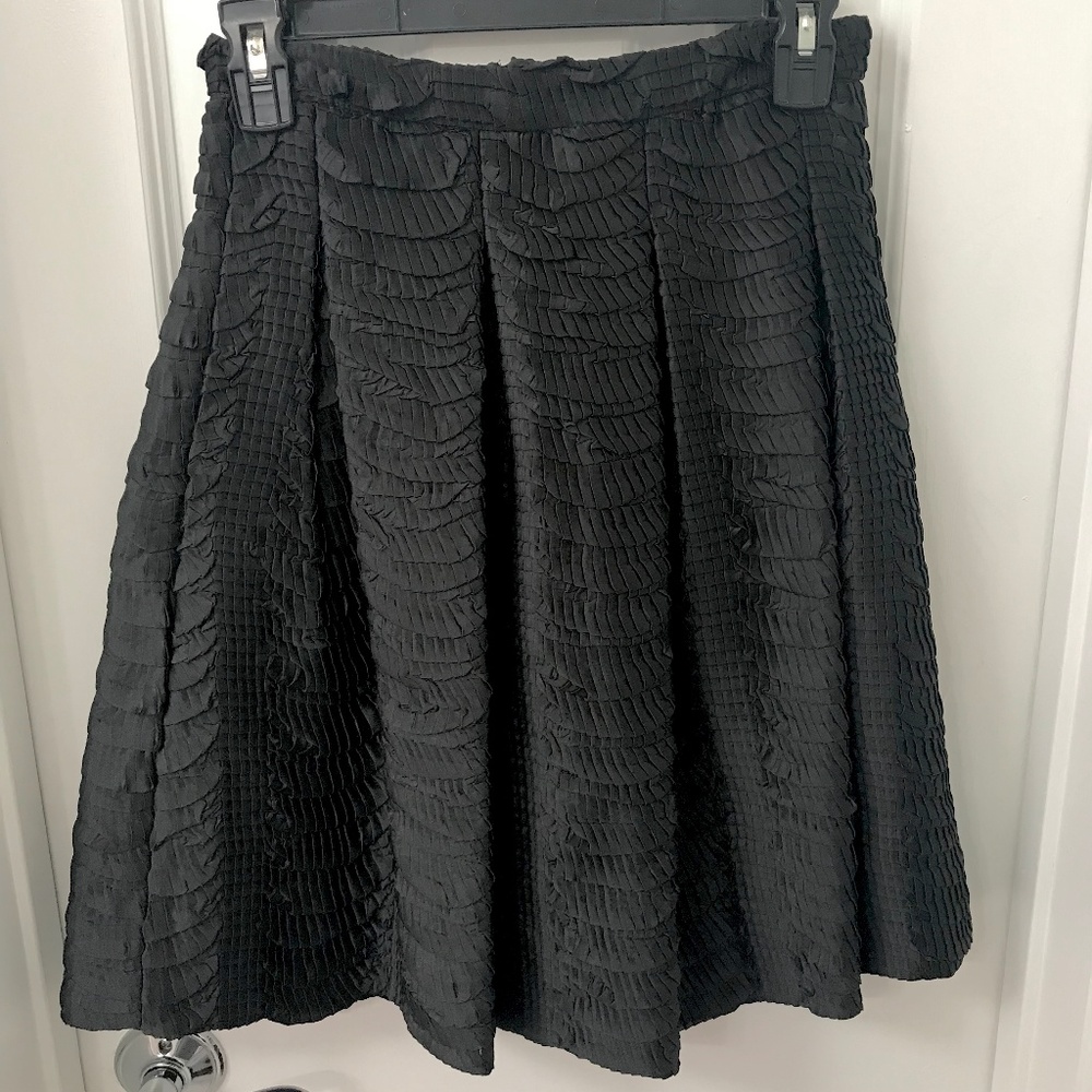 Ruffle Pleated H&M Skirt, Sz 4